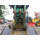 YANMAR VIO70-3