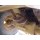 CAT 910G