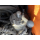 HITACHI ZX225US