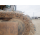 SUMITOMO SH120-3