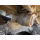 HITACHI ZX135US-5B