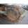 CAT 301.5CR