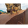CAT 336EH