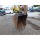 CAT 308DCR