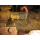 CAT 320D
