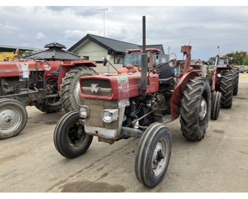 MASSEY FERGUSON 135