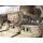 HITACHI ZX135US-5B