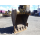 CAT 312E